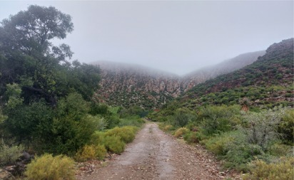 Walking trail at Keurkloof Valley Farm